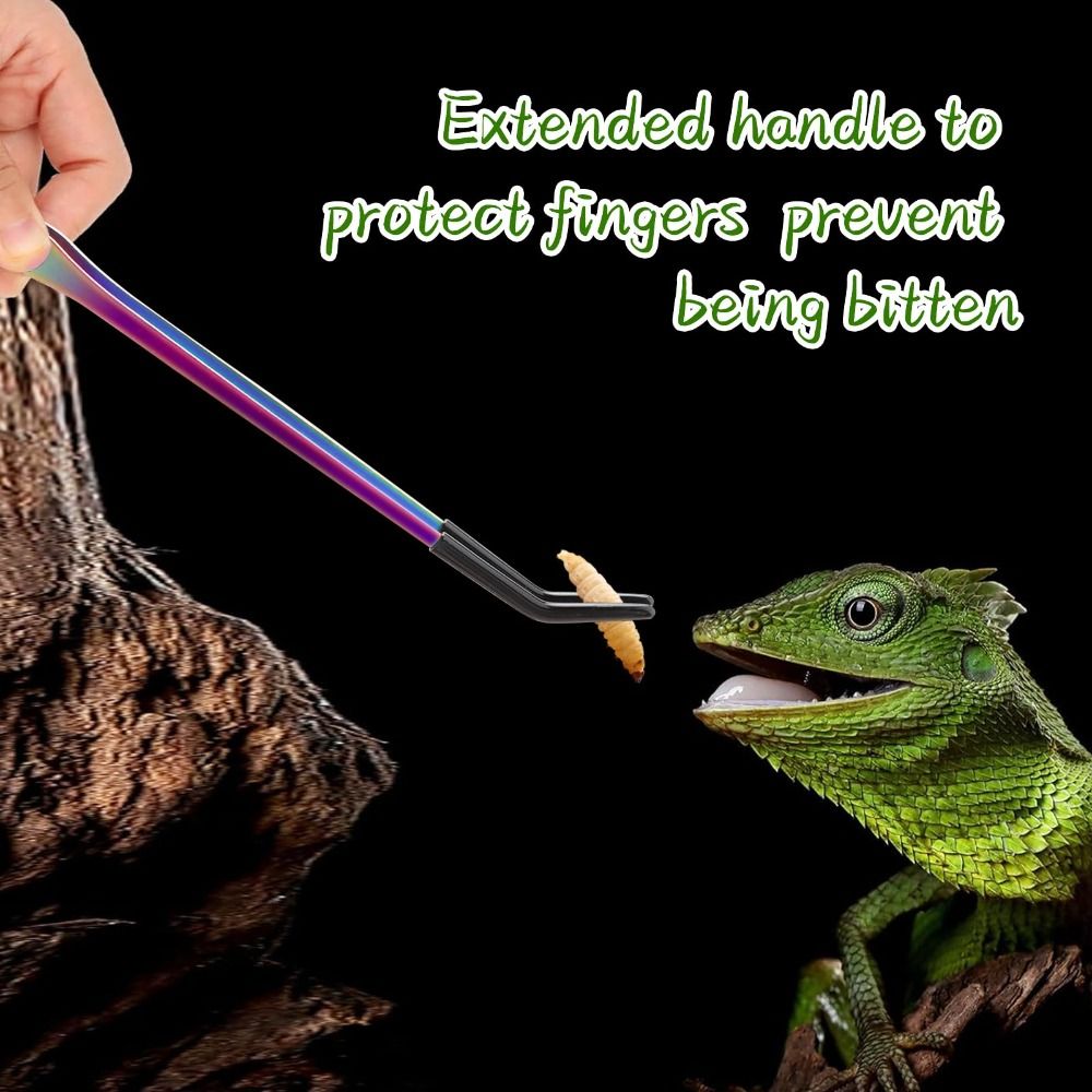 2PCS Stainless Steel Reptile F - Feeding Tong Stainless recension och pris