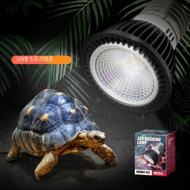 NOMOY Reptile 110/220V UVB+UVA - Calcium Powder Reptile recension och pris