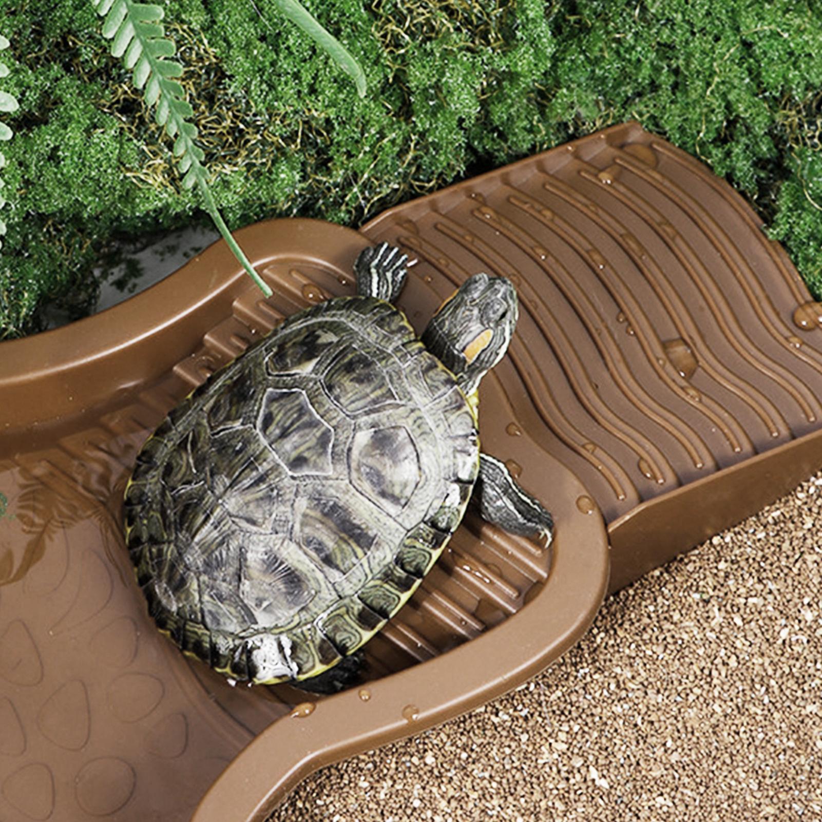 Reptile Bathing Pool with Ramp - Water Dish Reptile recension och pris