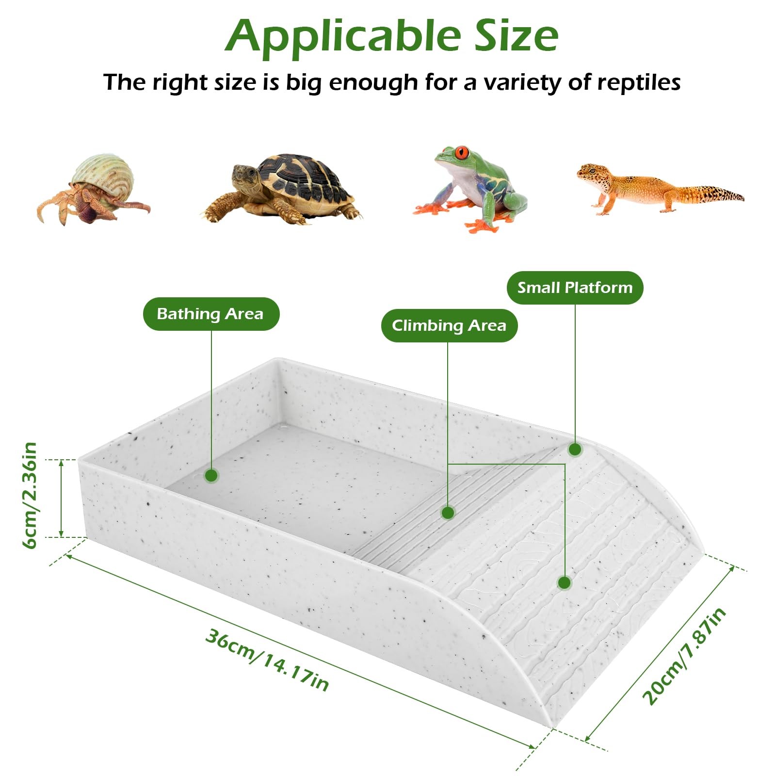 Anti Slip Tortoise Bath Dish T - Water Dish Reptile recension och pris