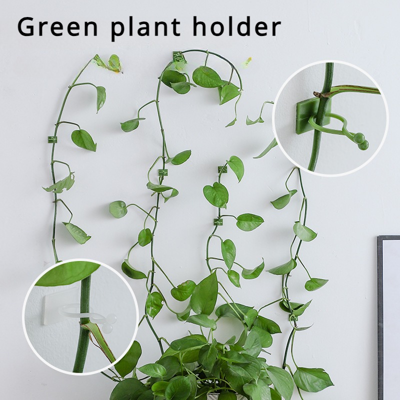 10Pcs Plant Wall Fixing Hooks  - Vine Climbing Plastic recension och pris