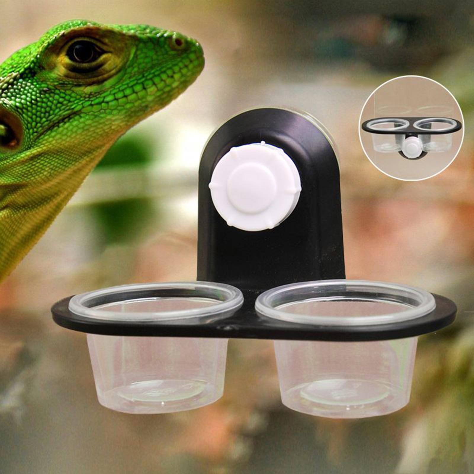 Gecko Food Dish Gecko Feeding  - Water Dish Reptile recension och pris