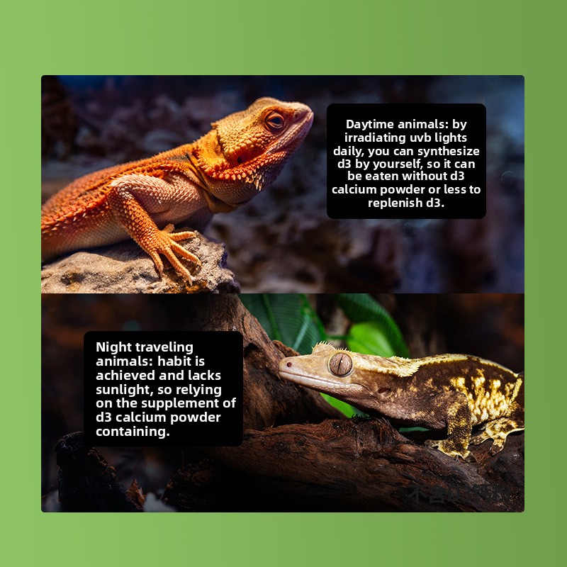 Reptizoo Reptile Calcium Powde - Calcium Powder Reptile recension och pris