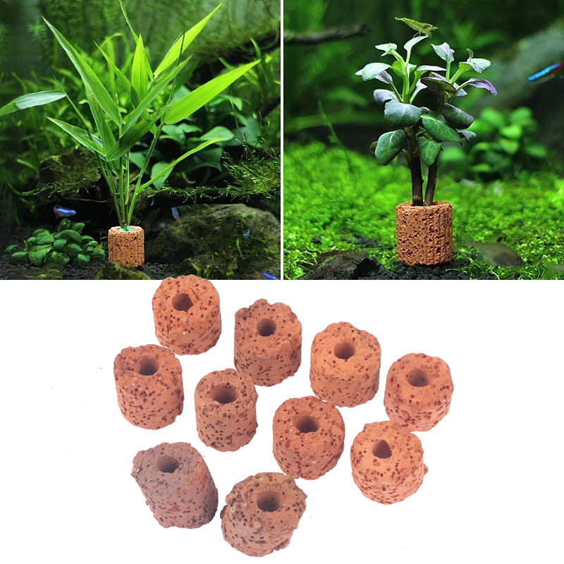 ^10Pcs Plant Ring Aquarium Fix - Aquael Filter Fzn recension och pris