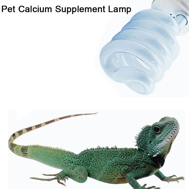 E27 13W/26W Reptile Uvb Lamp   - Calcium Powder Reptile recension och pris
