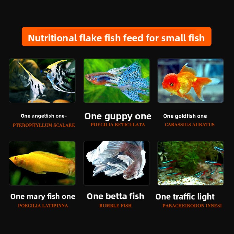 DaJiaWa Spirulina Flake Fish F - Tetra Food Betta Flakes recension och pris