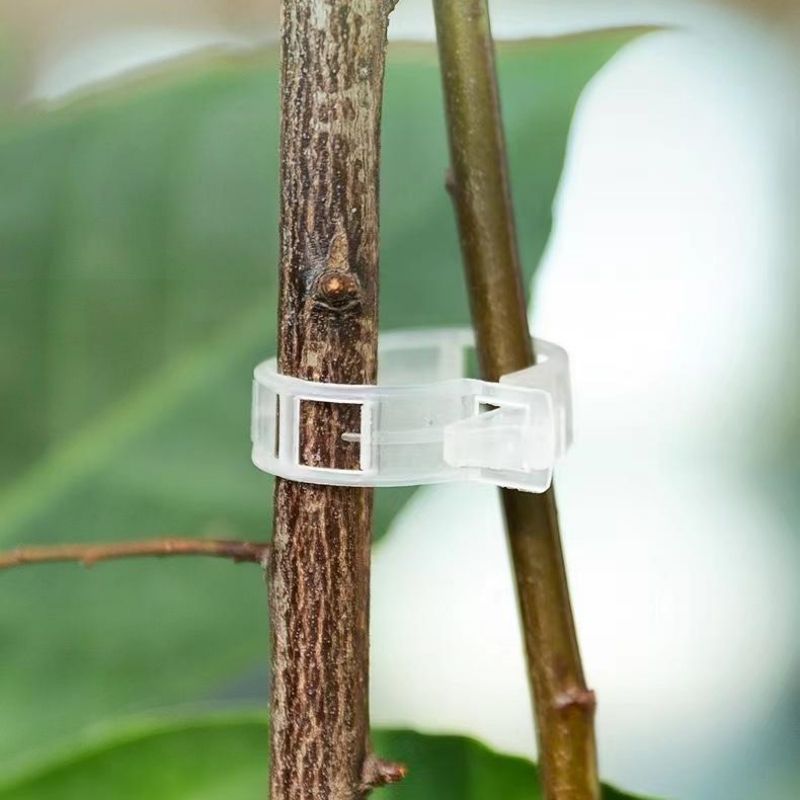 Plastic Plant Support Clips Re - Vine Climbing Plastic recension och pris