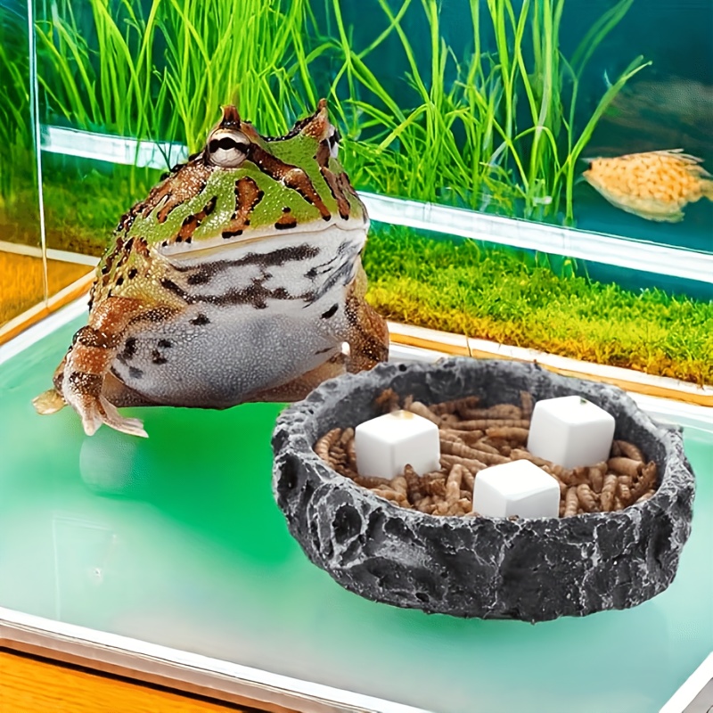 6 Pcs Fish Tank Calcium Block  - Calcium Powder Reptile recension och pris